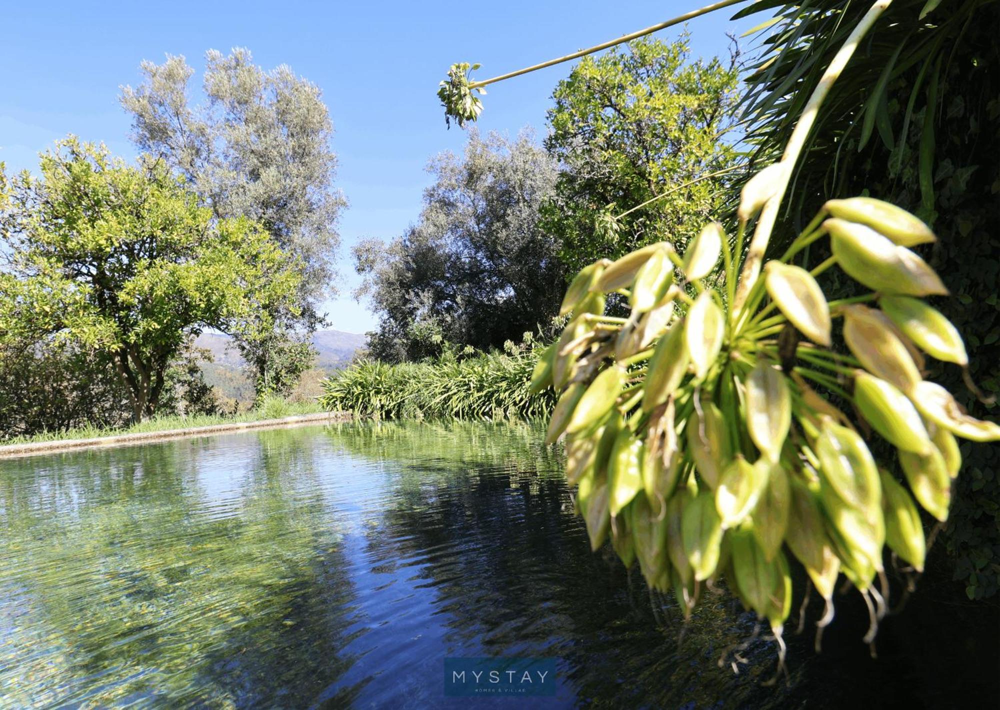 Mystay - Quinta Da Balanca تيراس دي بورو المظهر الخارجي الصورة